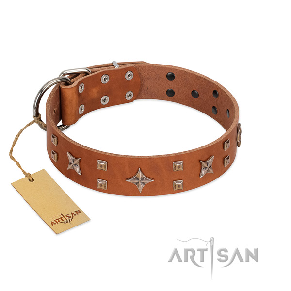 Handcrafted dog collar of selected genuine leather